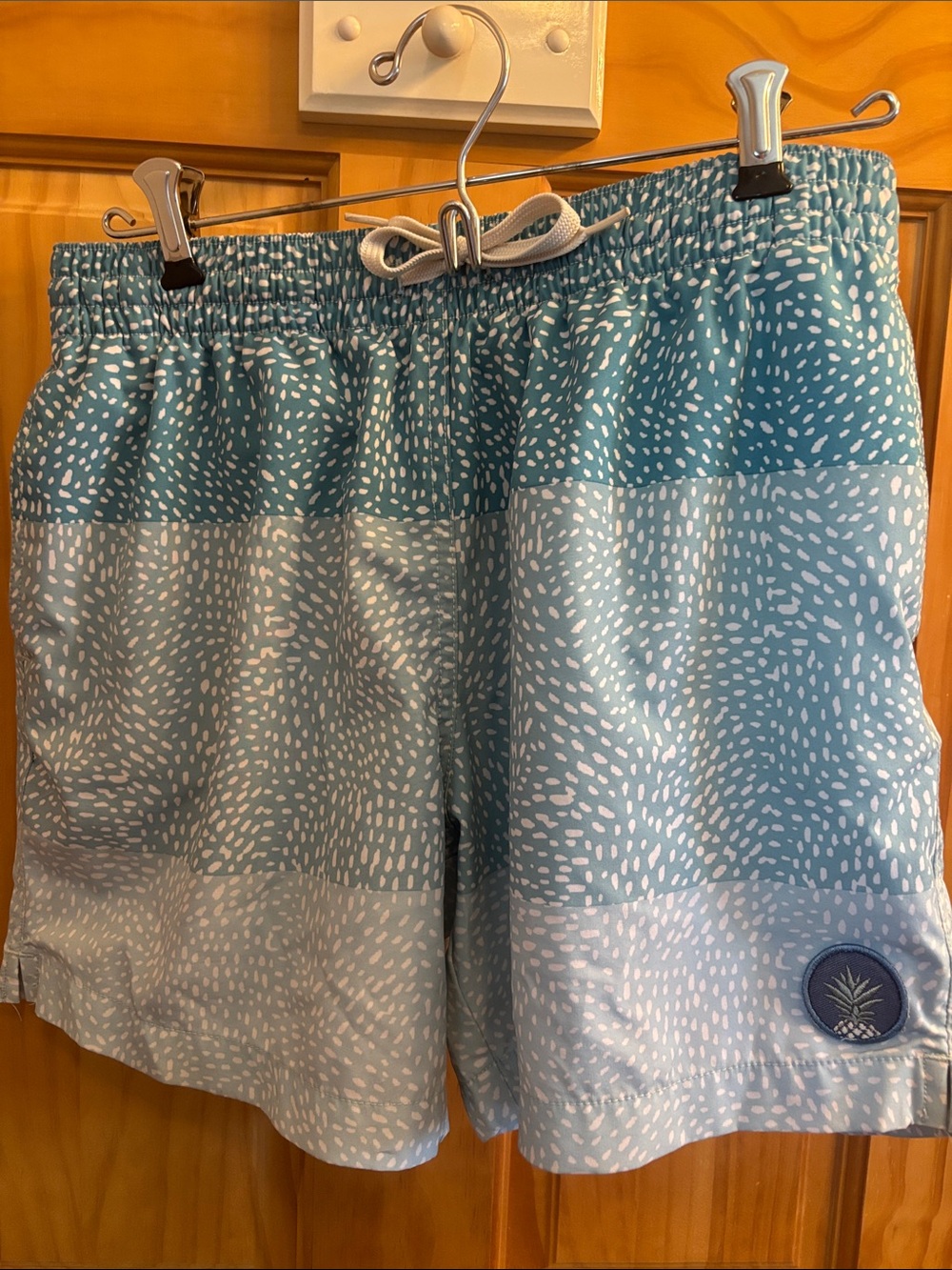 Men's Blue Patterned Swim Shorts
